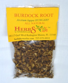 Burdock Root (Arctium lappa)